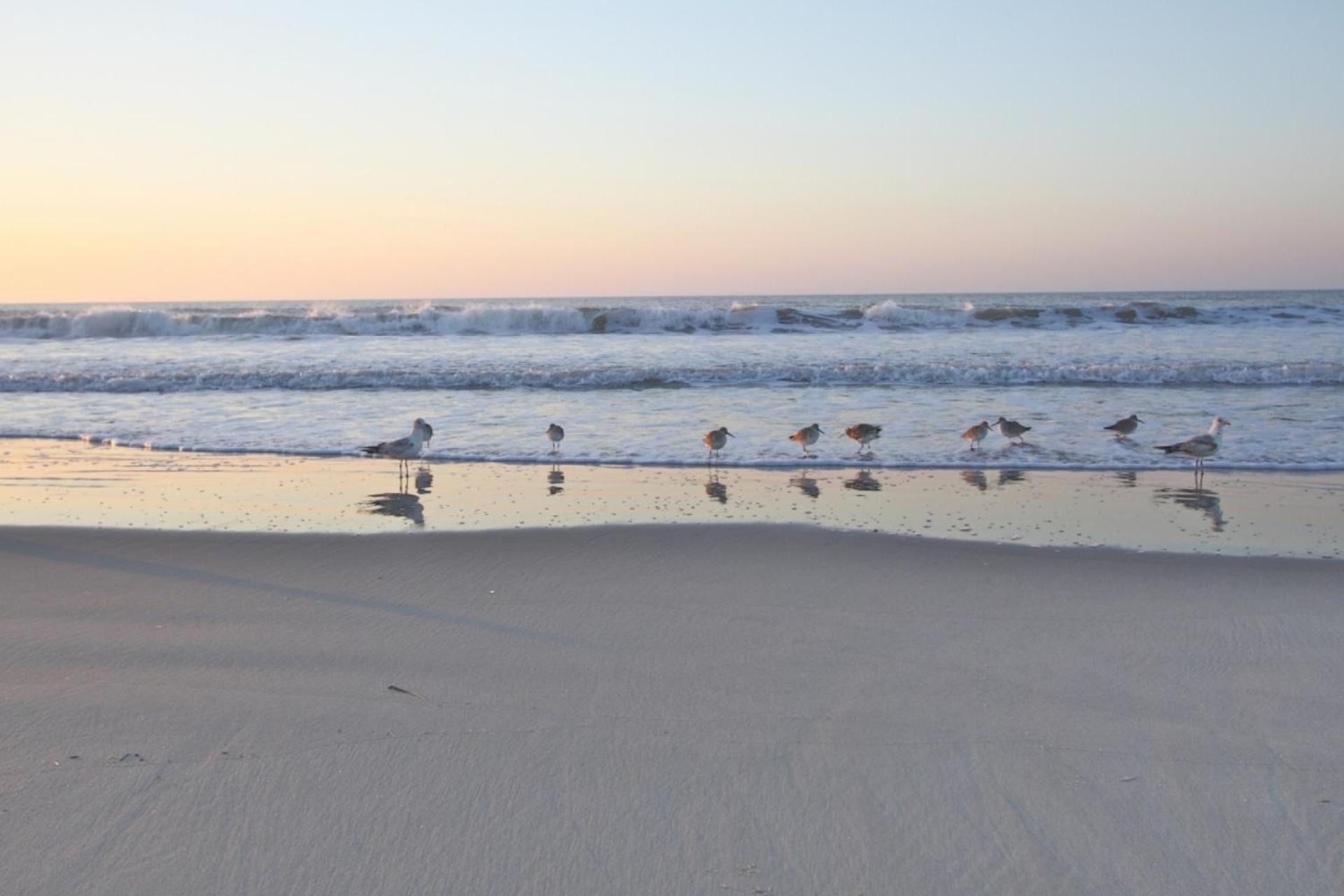 Serenity Folly Beach Zewnętrze zdjęcie